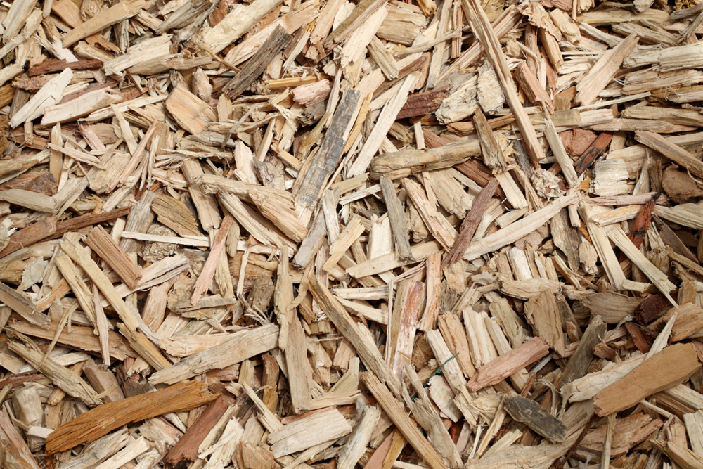 AdobeStock_28330680.png